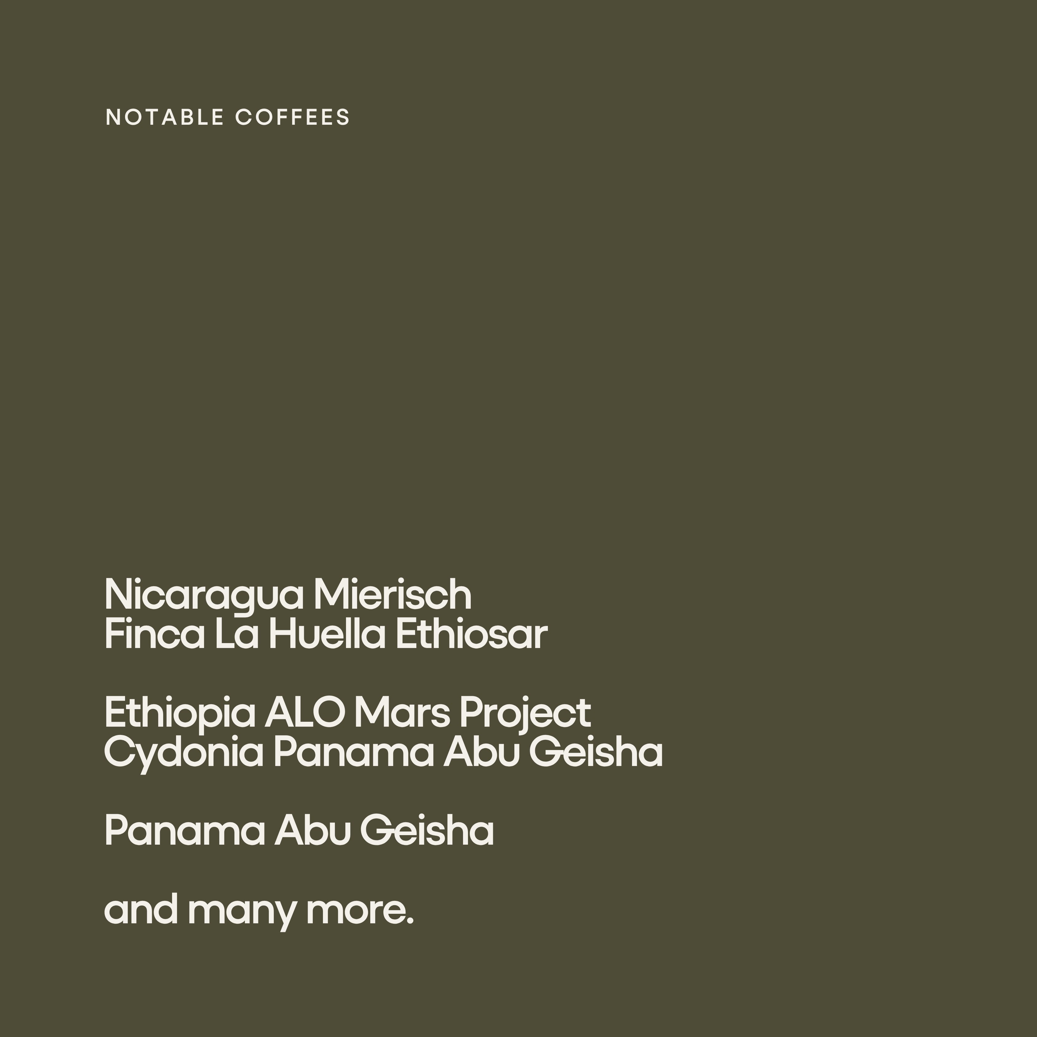 Yardstick Coffee Advent Calendar