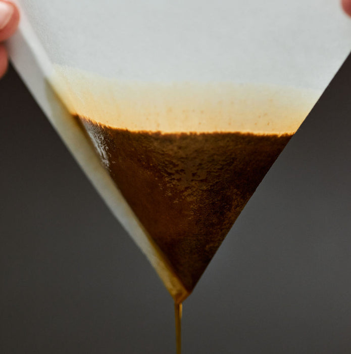 FAST Specialty Coffee Filter